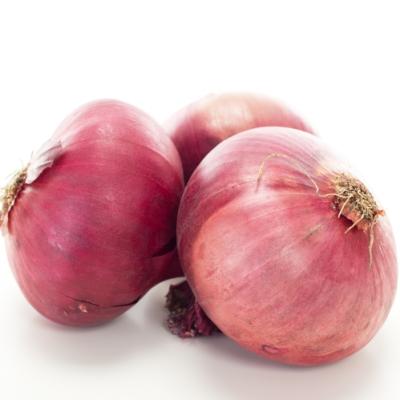 Fresh onion 