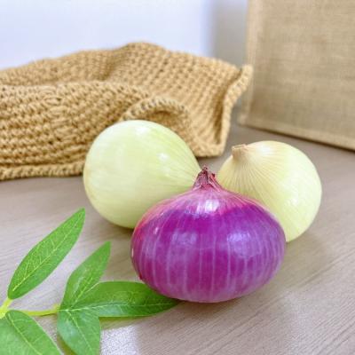 Peeled onion