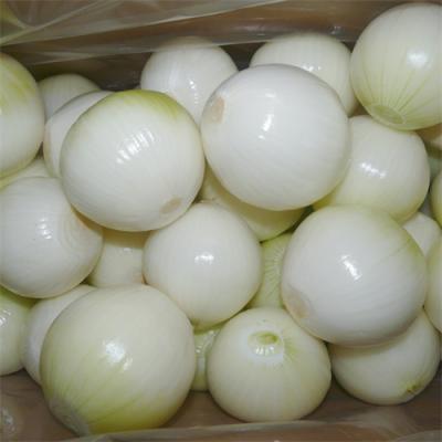 Peeled onion